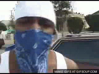 giphy.gif