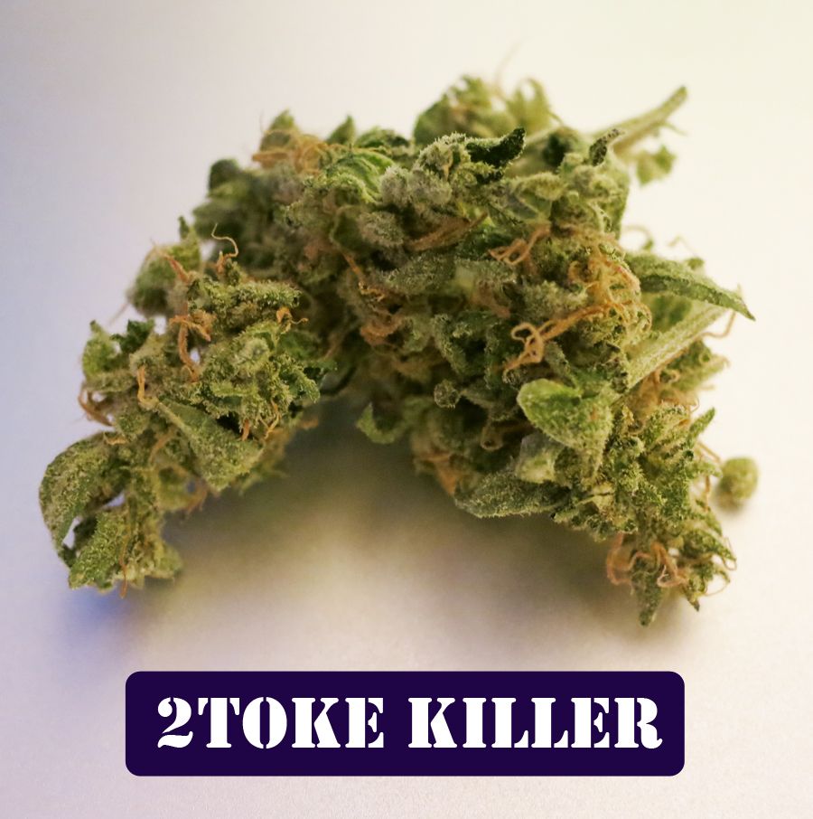 2toke.jpg