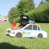 200w.gif