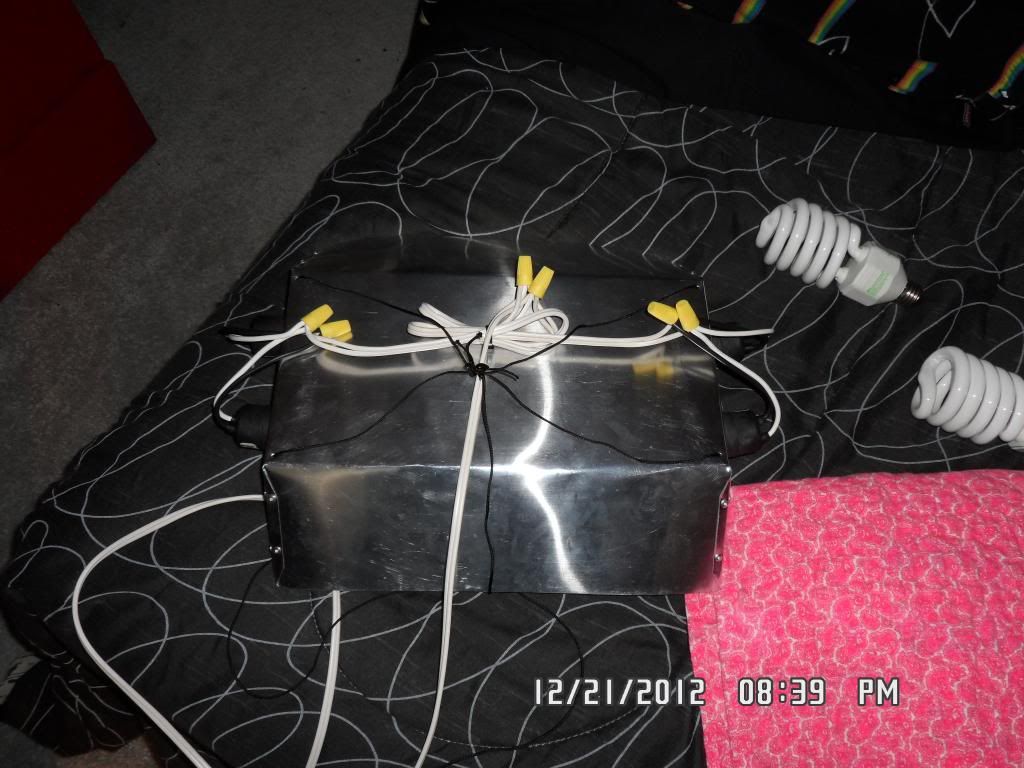 SAM_0472_zpsf6634e58.jpg