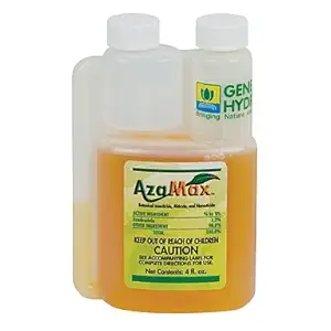 41ryWA4XS5L._SY300_FMwebp_.jpg