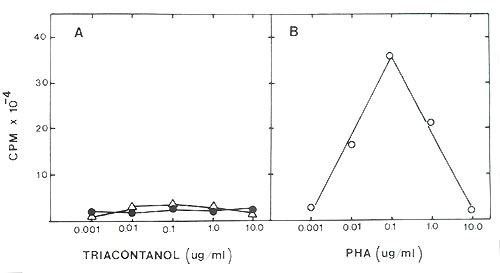 Fig19.jpg