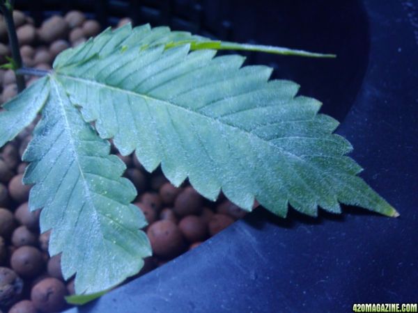 2009-12-29_19_17_14.jpg