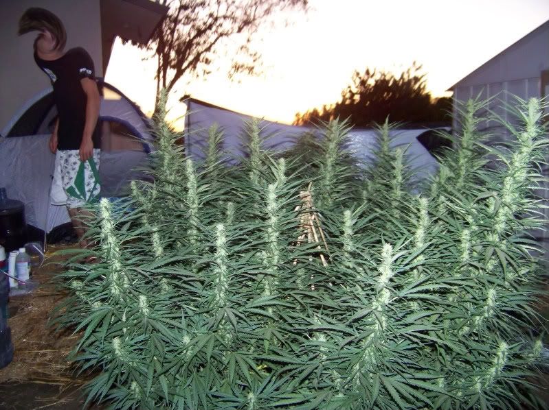 100_2250.jpg