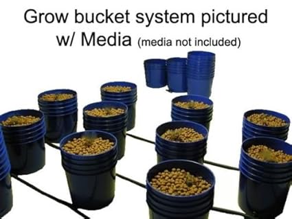 51VShG8l50L._SX425_.jpg