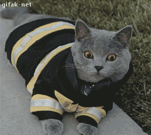gifs_09.gif