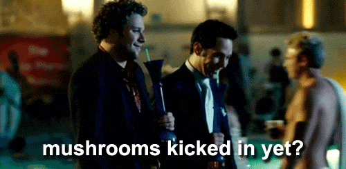tumblr_m4r51mdarb1r00g1wo2_500.gif