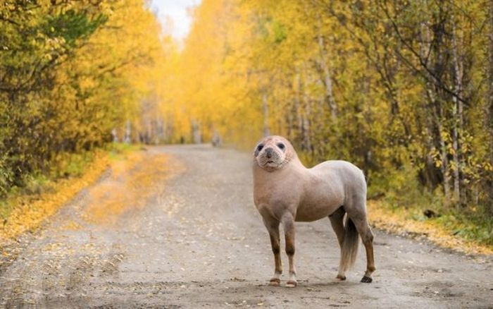funny_photoshop_05.jpg