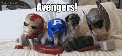 Avengers-pugs-Ultron.gif