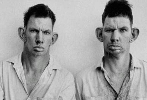 hillbillies.jpg