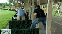 gifs_02.gif