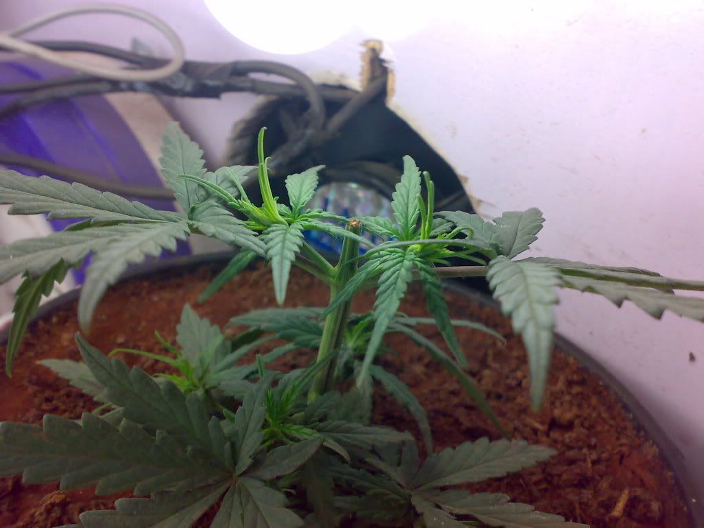 08012009357.jpg