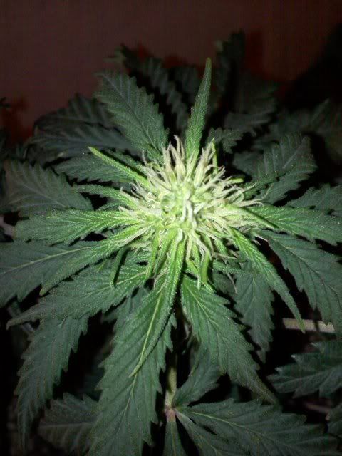 20120202133736.jpg
