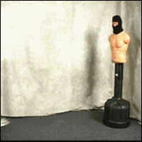 200.gif