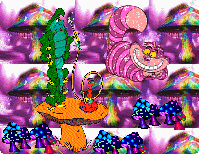 shrooms.gif
