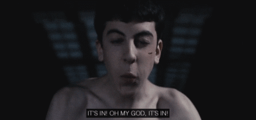 giphy.gif