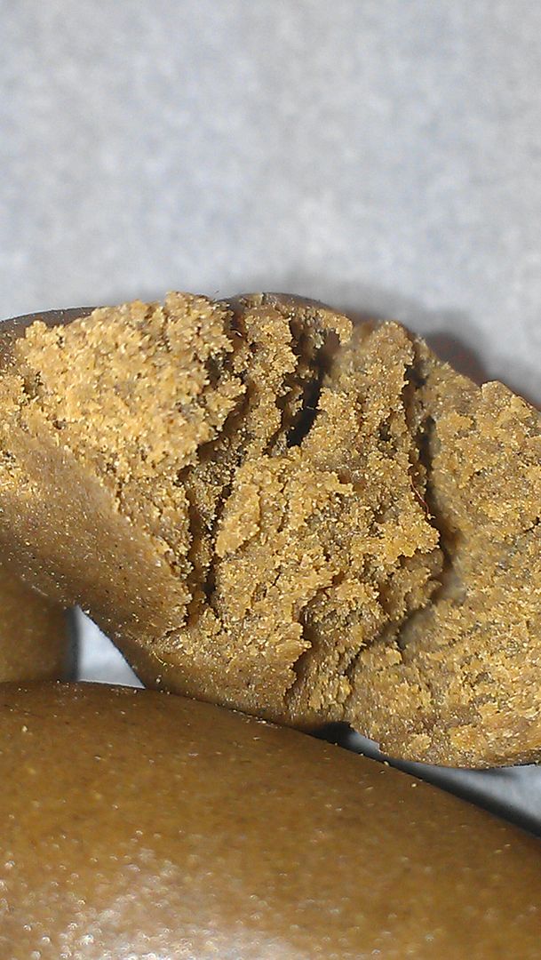 IMAG2447_zps7080af51.jpg