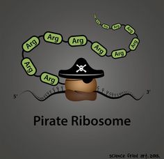 89c9d9c632b0c848f439d26988865c1a--biology-jokes-ap-biology.jpg