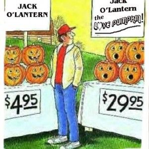 0ac1df452eb5c1539249e8db6381ac91.jpg