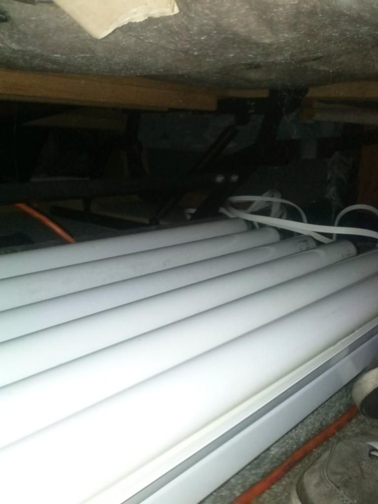 1230121148_zps1c94b746.jpeg