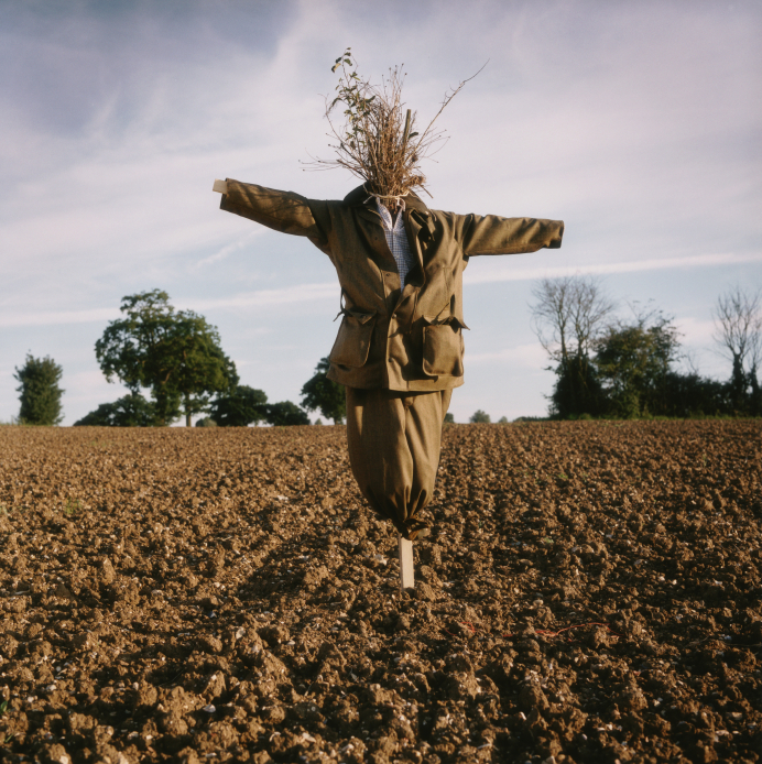 iStock_000003088605Small.jpg