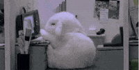 200w.gif