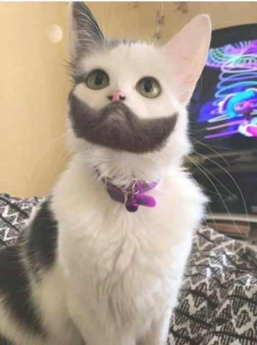 acid_picdump_33.jpg