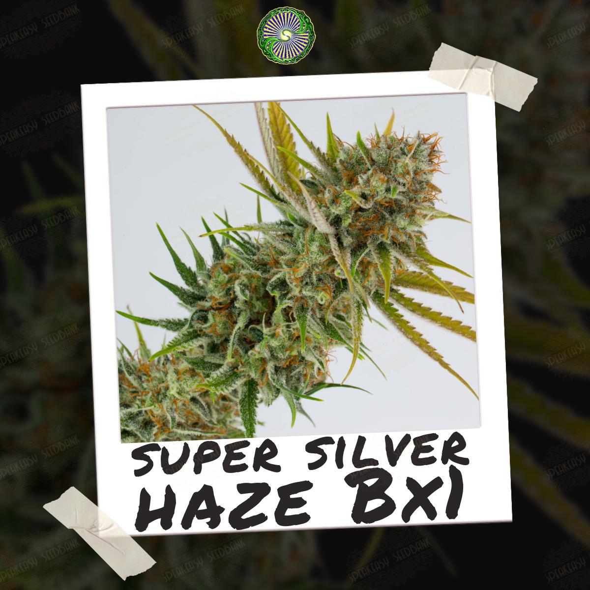speakeasyseedbank.com