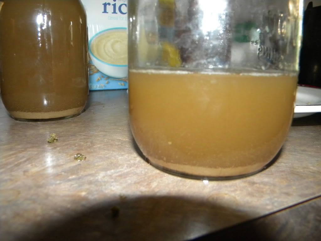 DSCN0652.jpg