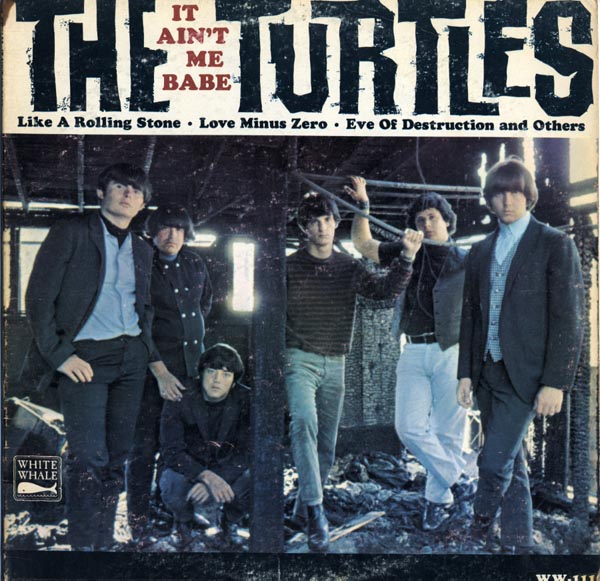 turtles.jpg