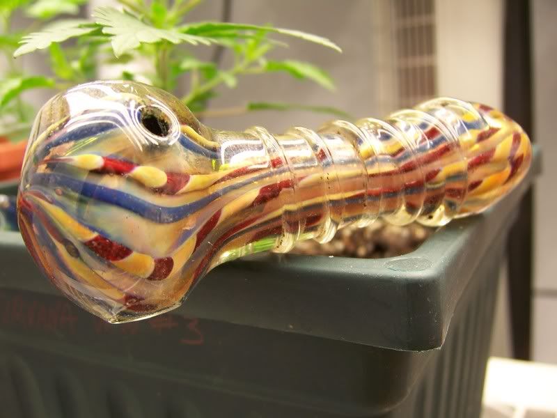 100_6203.jpg