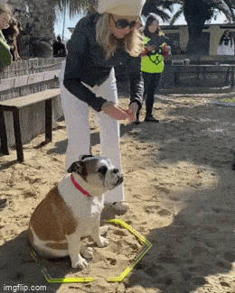 1682317268_4.gif
