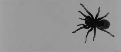 tumblr_me2ukaYqBs1qfganko1_500.gif