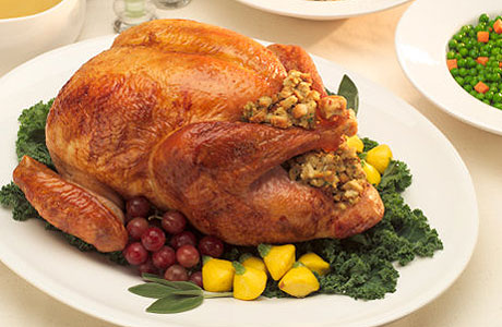 thanksgiving-turkey-1108-lg-44698850.jpg