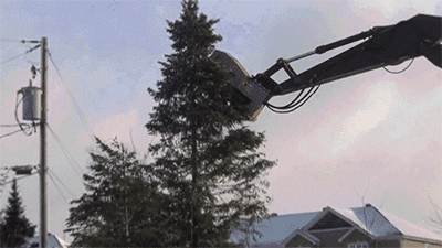 84410496.gif