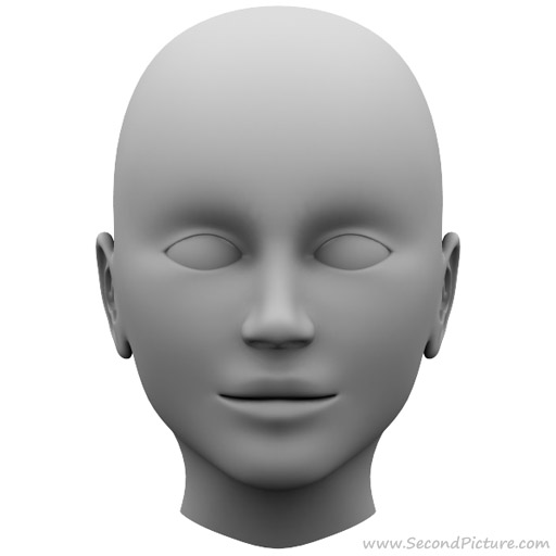 human_head_reference_picture_front.jpg