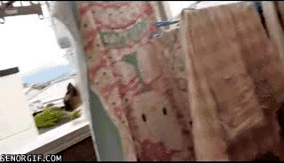 gifs_07.gif
