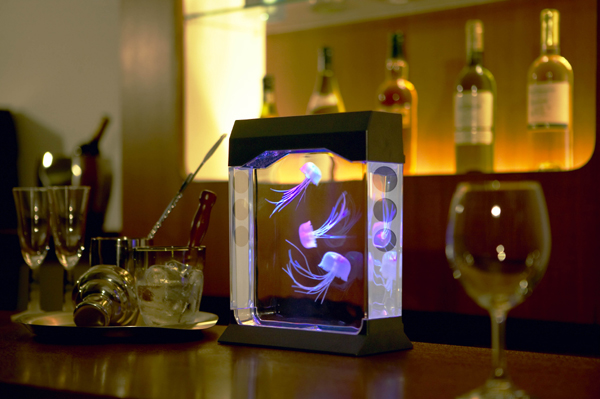 jelly-fish-aquarium.jpg