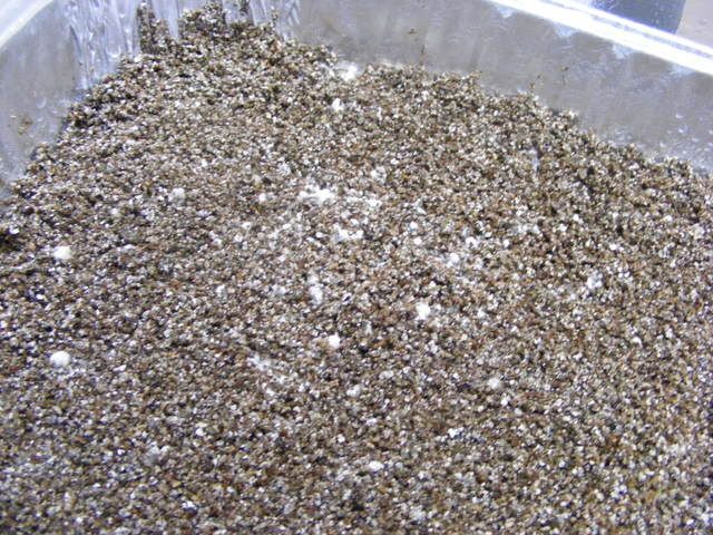 projects019.jpg
