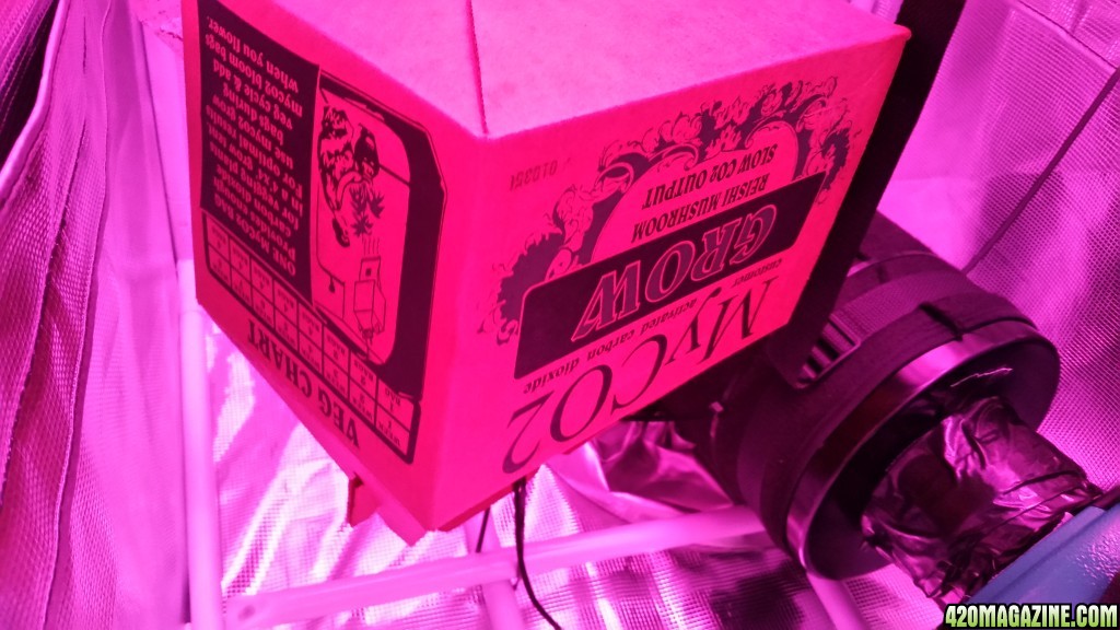20150613_182447.jpg