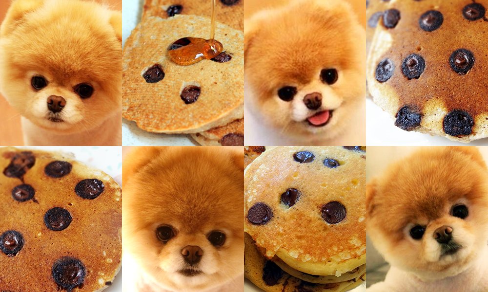 The Latest Huge Meme Is About Dogs That Look Like Food