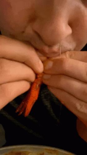 Crawfish Suck GIF - Crawfish Suck It - Discover & Share GIFs