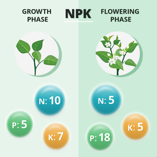 nutrients for plants