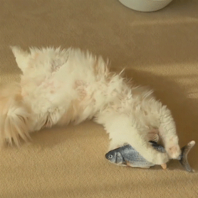 USB Charging Simulation Fish Cat Toy (Buy 2 Get 1 Free) – Krauro