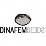 Logo Dinafem