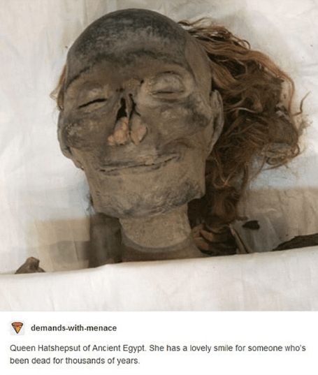 Tumblr Drops Intriguing Knowledge on Ancient Female Pharaoh - FAIL Blog -  Funny Fails