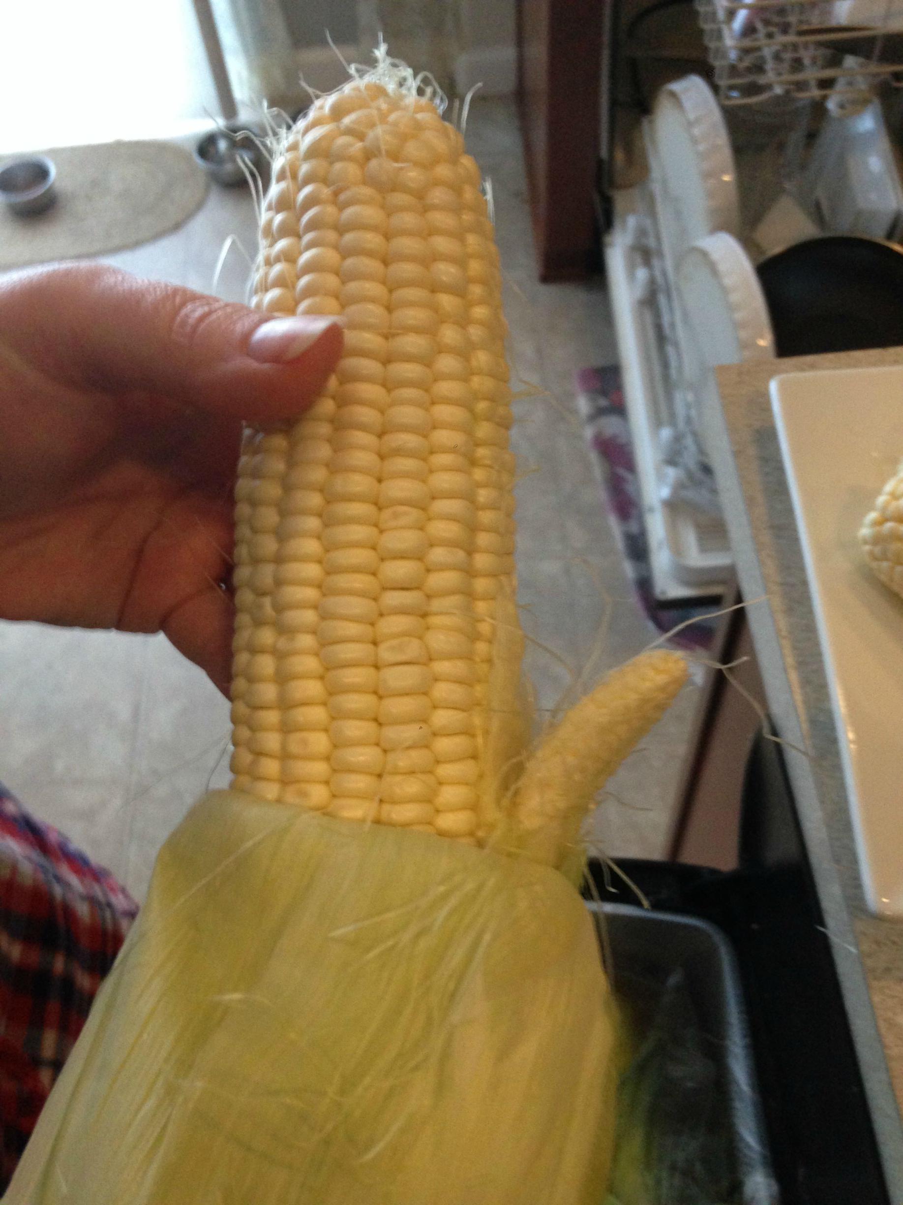My corn has a penis. - Imgur