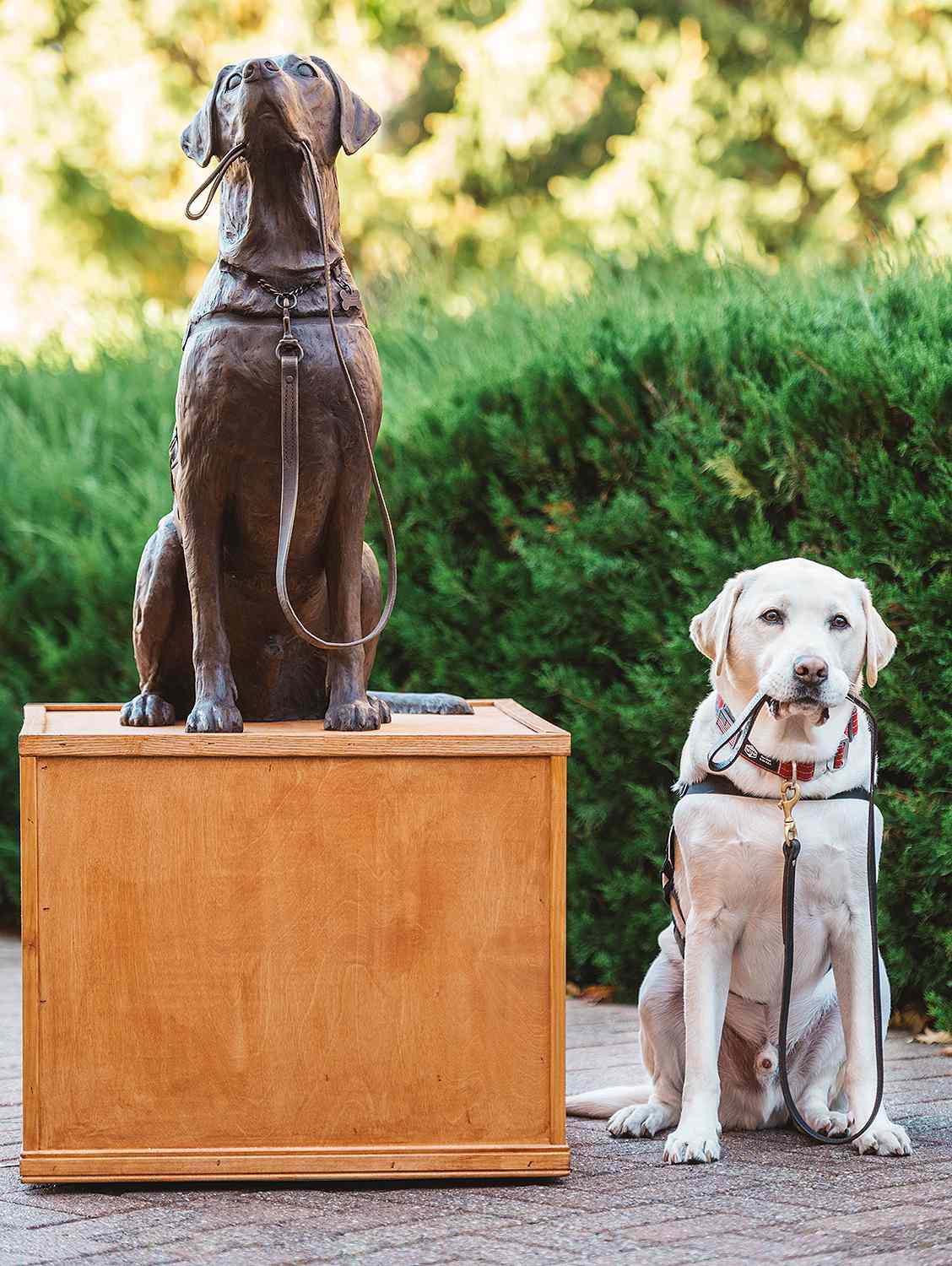 Sully dog statue
