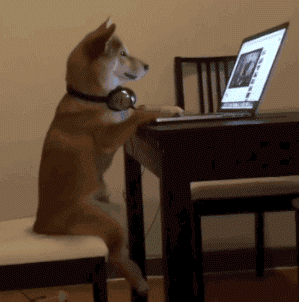 Computer Dog GIFs - Get the best GIF on GIPHY