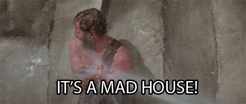 Mad House GIFs - Get the best GIF on GIPHY